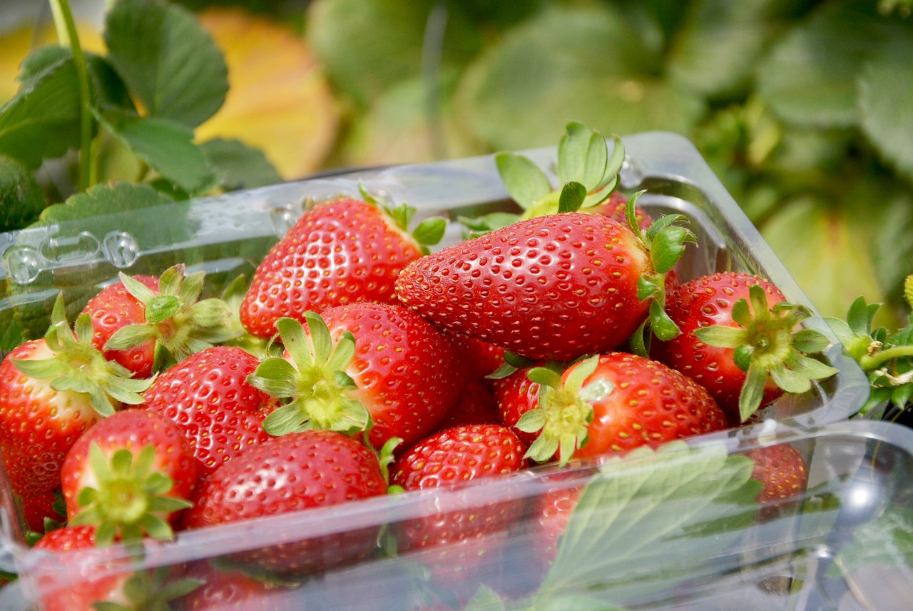 How to Grow Juicy, Tasty Strawberries